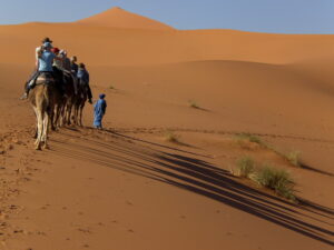 merzouga tours