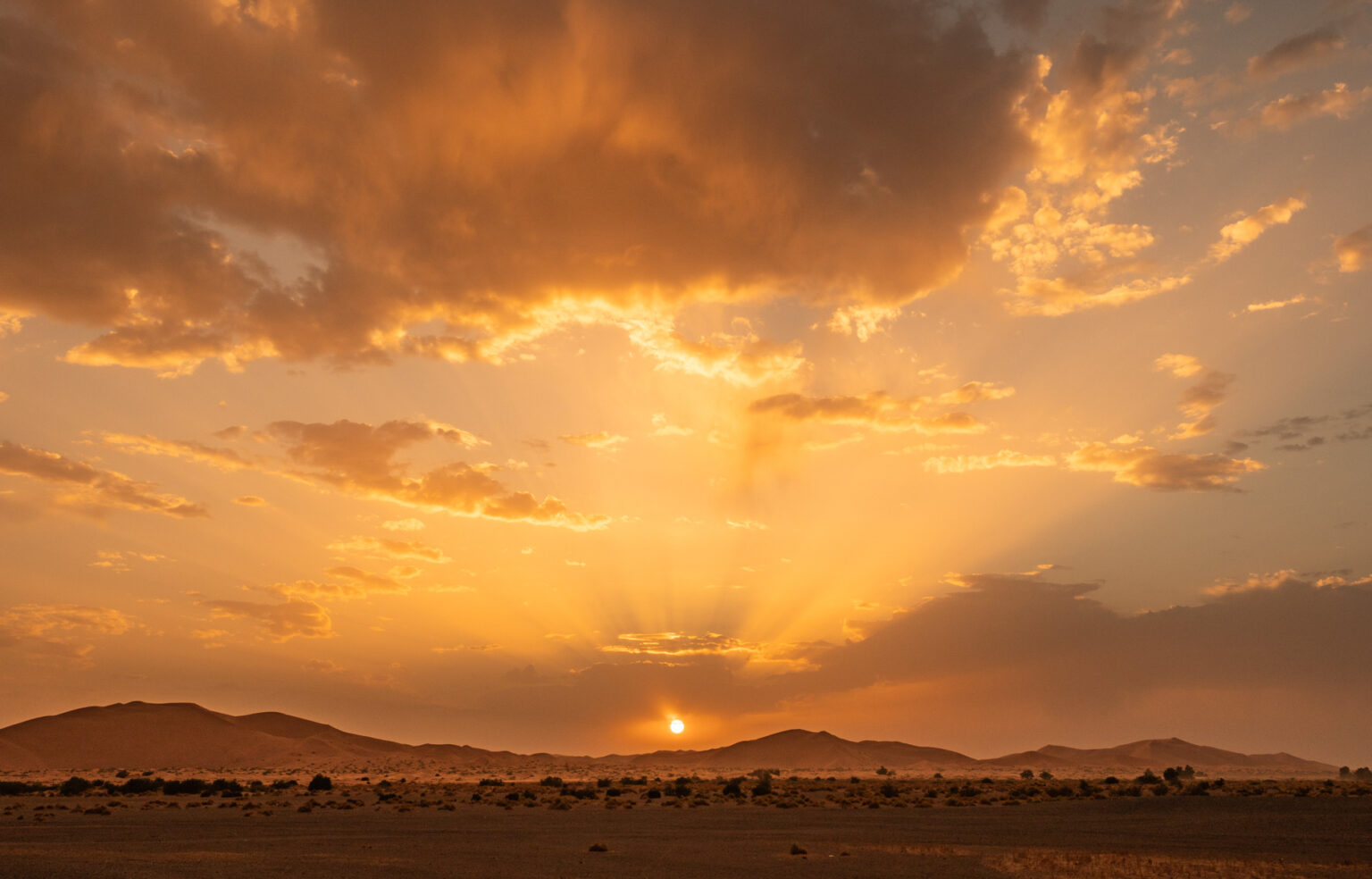 Descubre la guía definitiva para principiantes en tours en 4x4 por Merzouga. Conoce todo lo que necesitas saber para vivir una experiencia inolvidable. ¡Reserva ahora y disfruta al máximo!